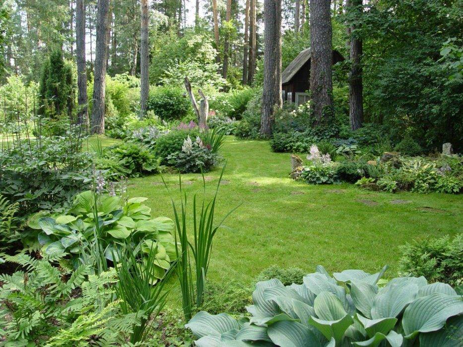 Экостиль (natur garden) в ландшафтном дизайне.