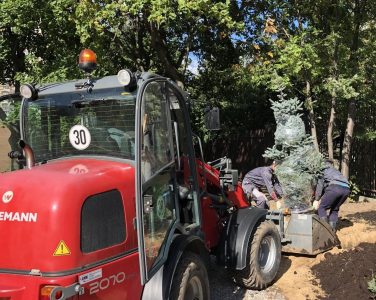 Подготовка для посадки деревьев крупномеров